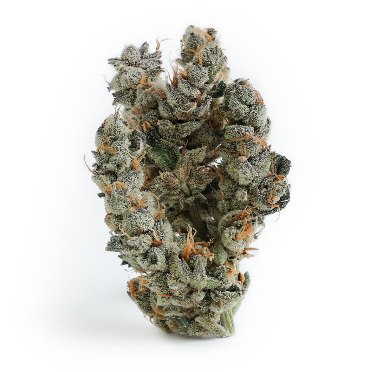 Emerald Gardens Select