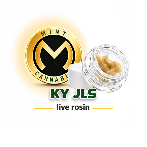 Mint Platinum Cold Cure Live Rosin - KY JLS