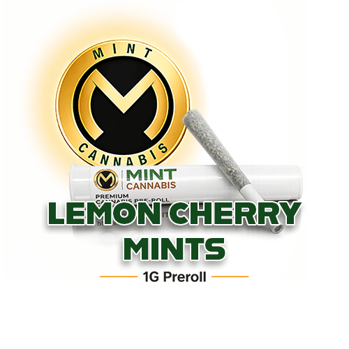 Mint Premium Prerolls - Lemon Cherry Mints