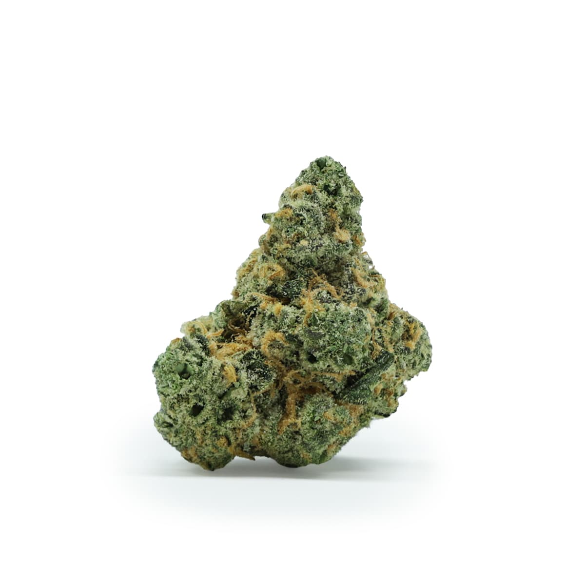 Emerald Gardens Gary Payton