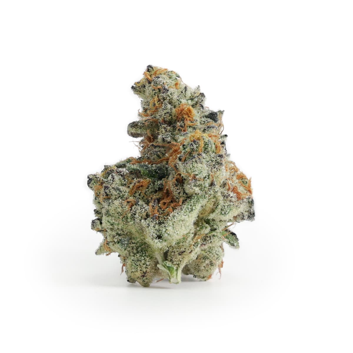 Emerald Gardens Choice Do Si Do