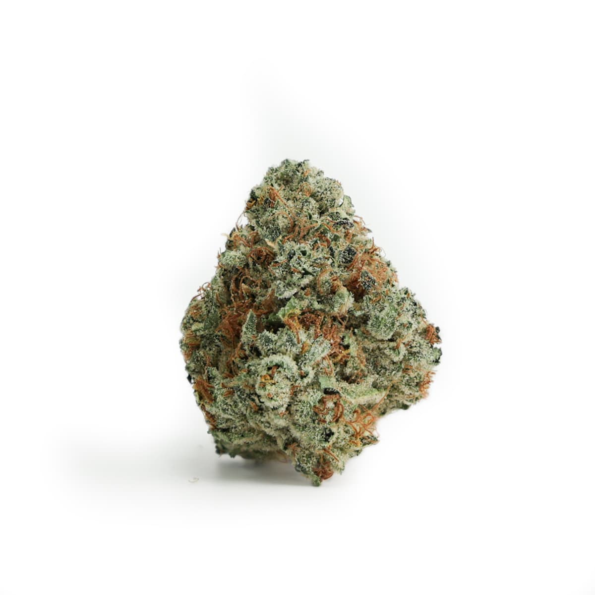 Genesis Reserve Select Black Triangle Kush
