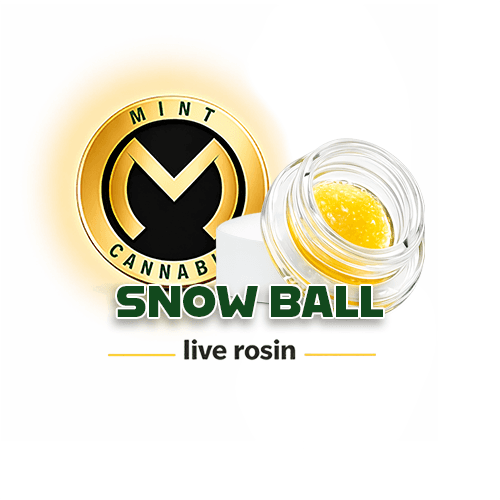 Mint Platinum Live Rosin Sauce - SNWball