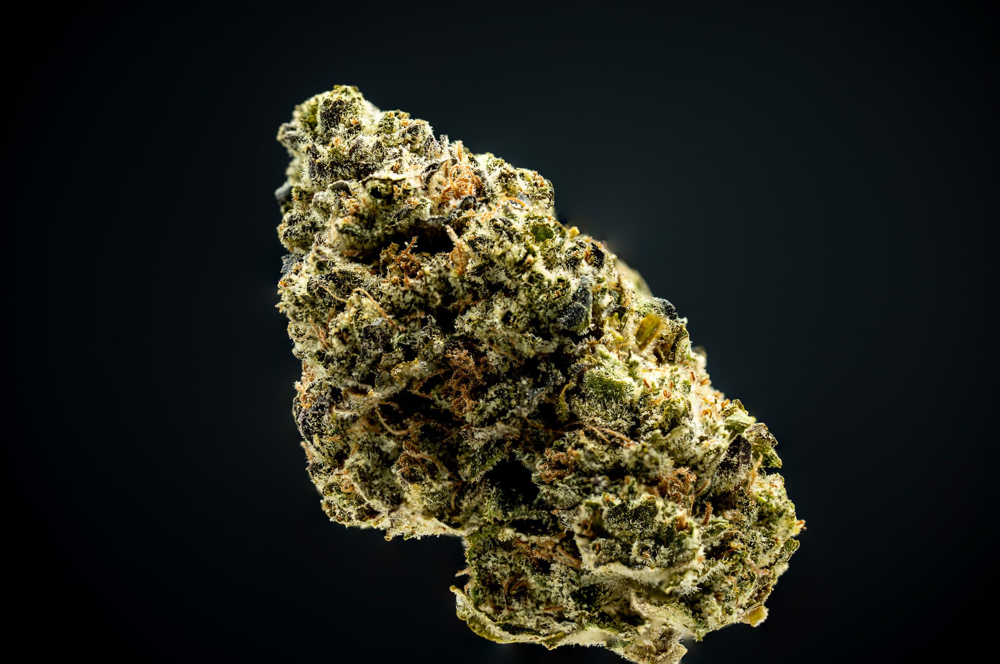 Landrace Cannabis