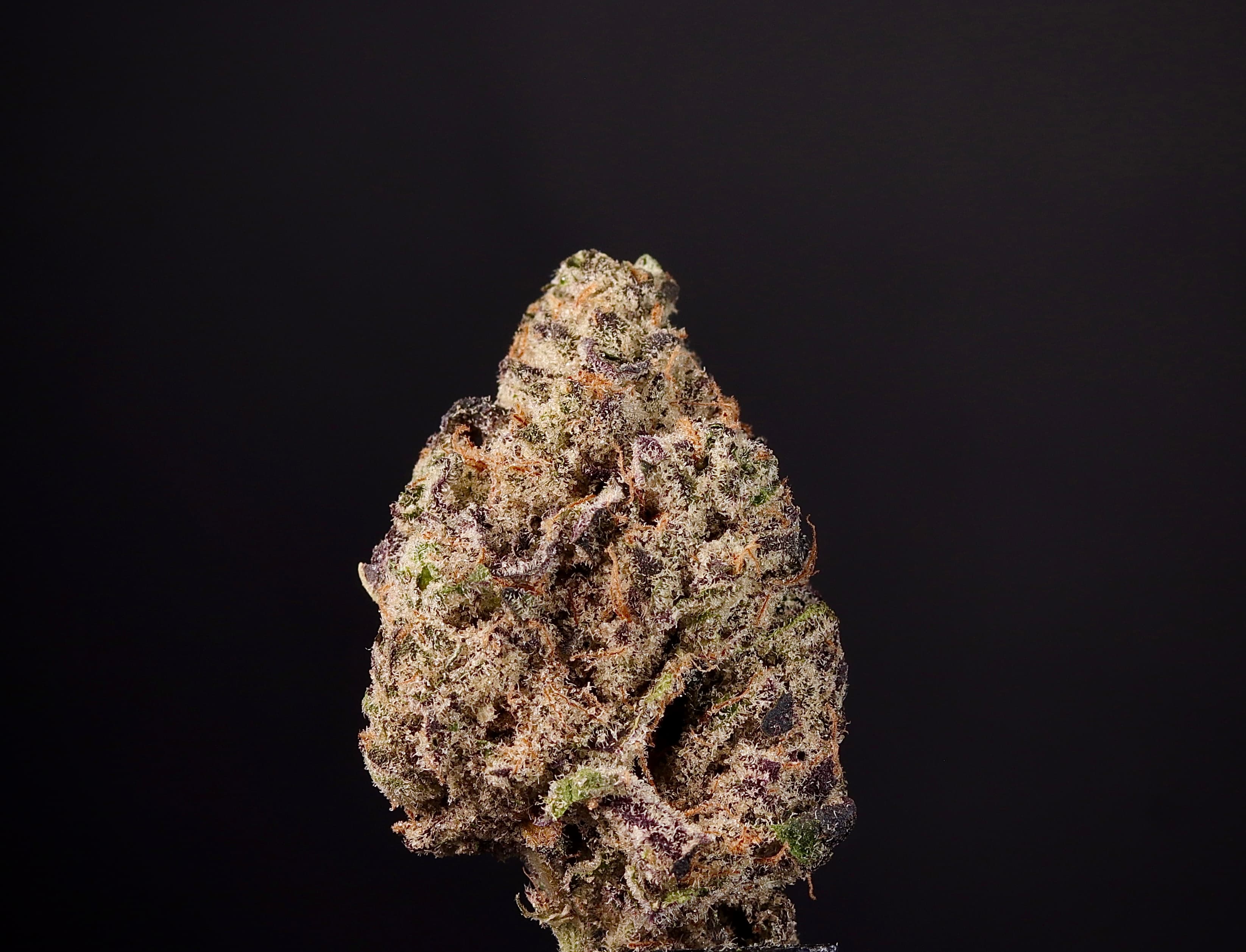 Landrace Cannabis Wedding Pie 1g - Landrace Cannabis Co.