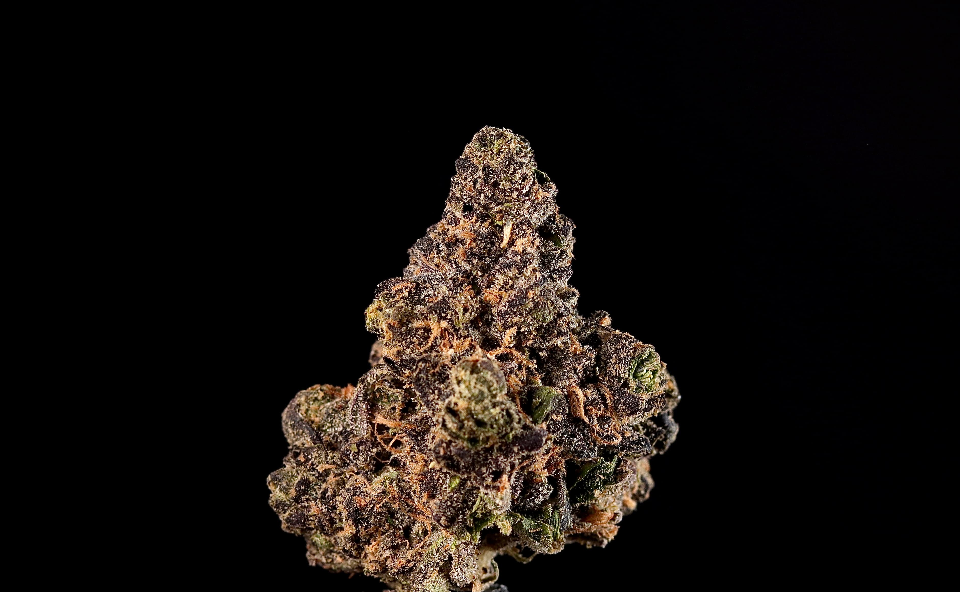 Landrace Cannabis Apples & Bananas 1g - Landrace Cannabis Co.