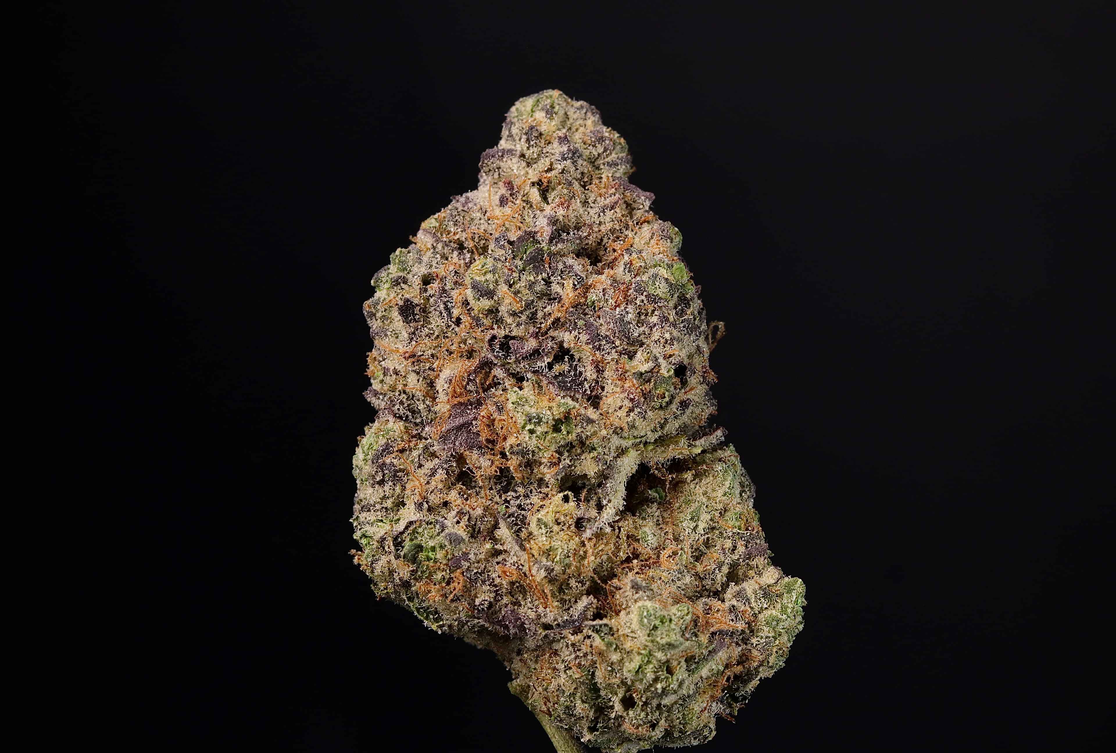 Landrace Cannabis Wedding Cake 1g - Landrace Cannabis Co.