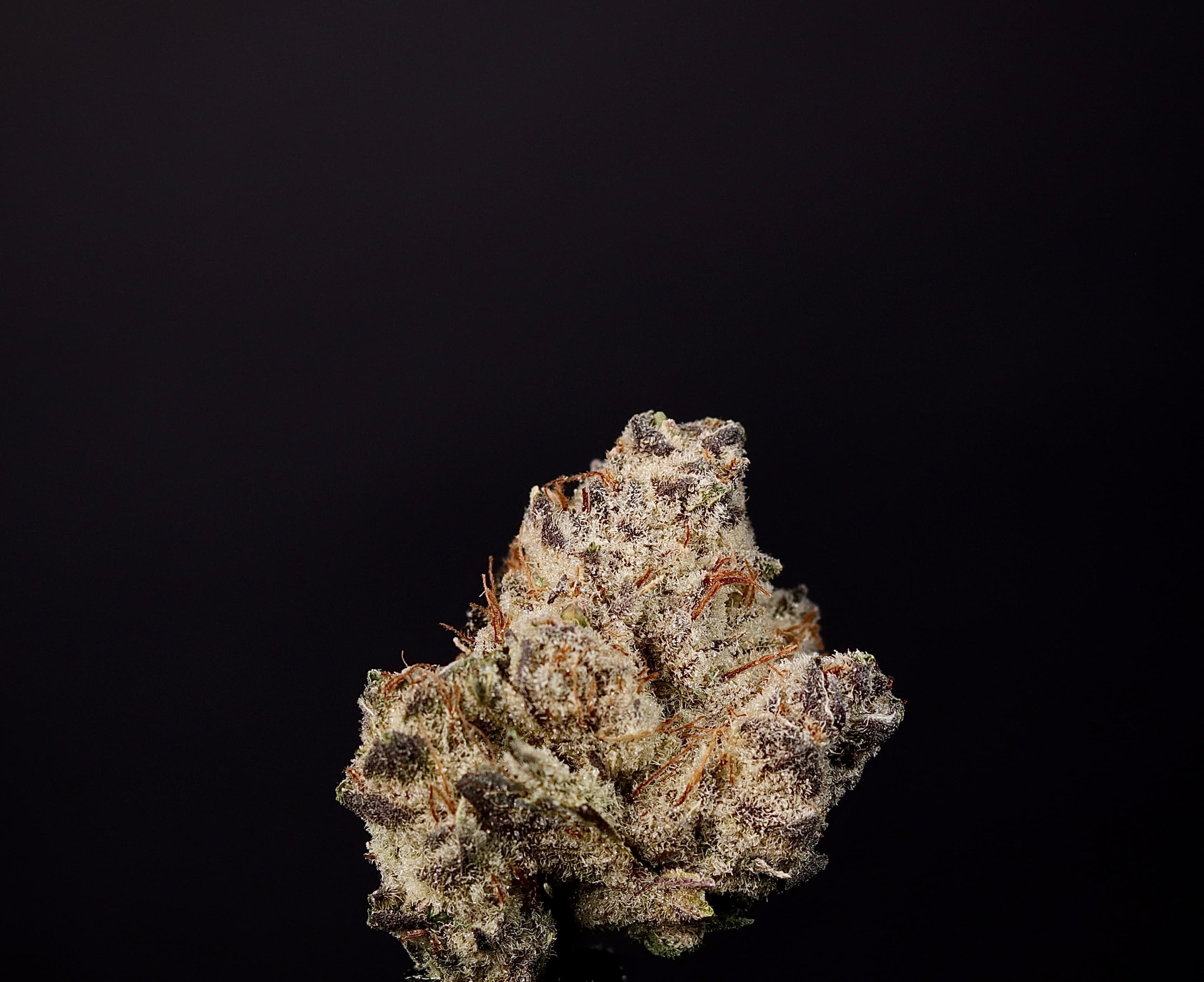 Landrace Cannabis Str8 Punch 1g - Landrace Cannabis Co.