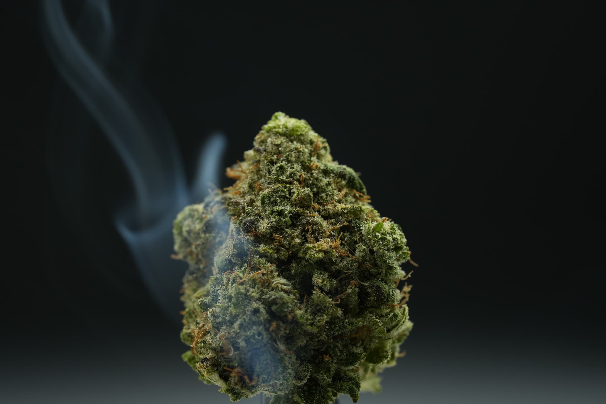 Landrace Cannabis Exit 19 - Landrace Cannabis Co.