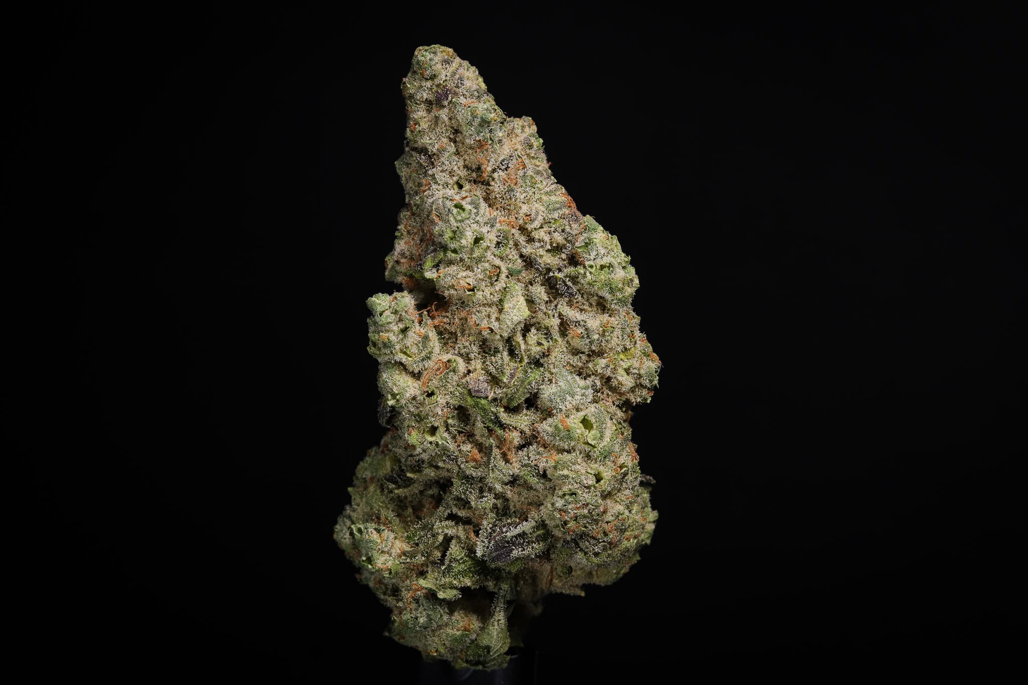 Landrace Cannabis