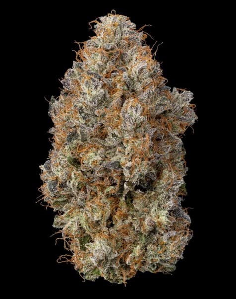 Firefly Organics