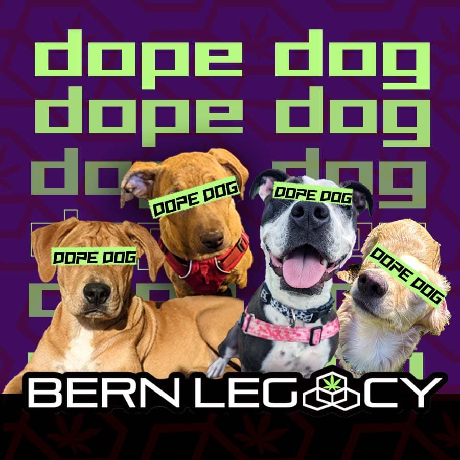 Bern Legacy Bern Legacy Dope Dog