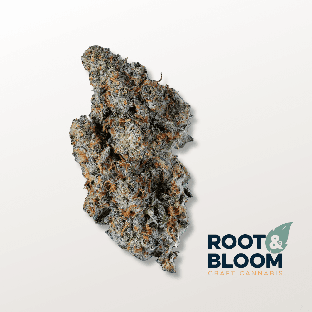 Root & Bloom