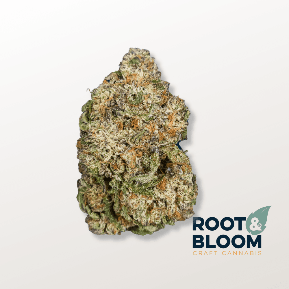Root & Bloom