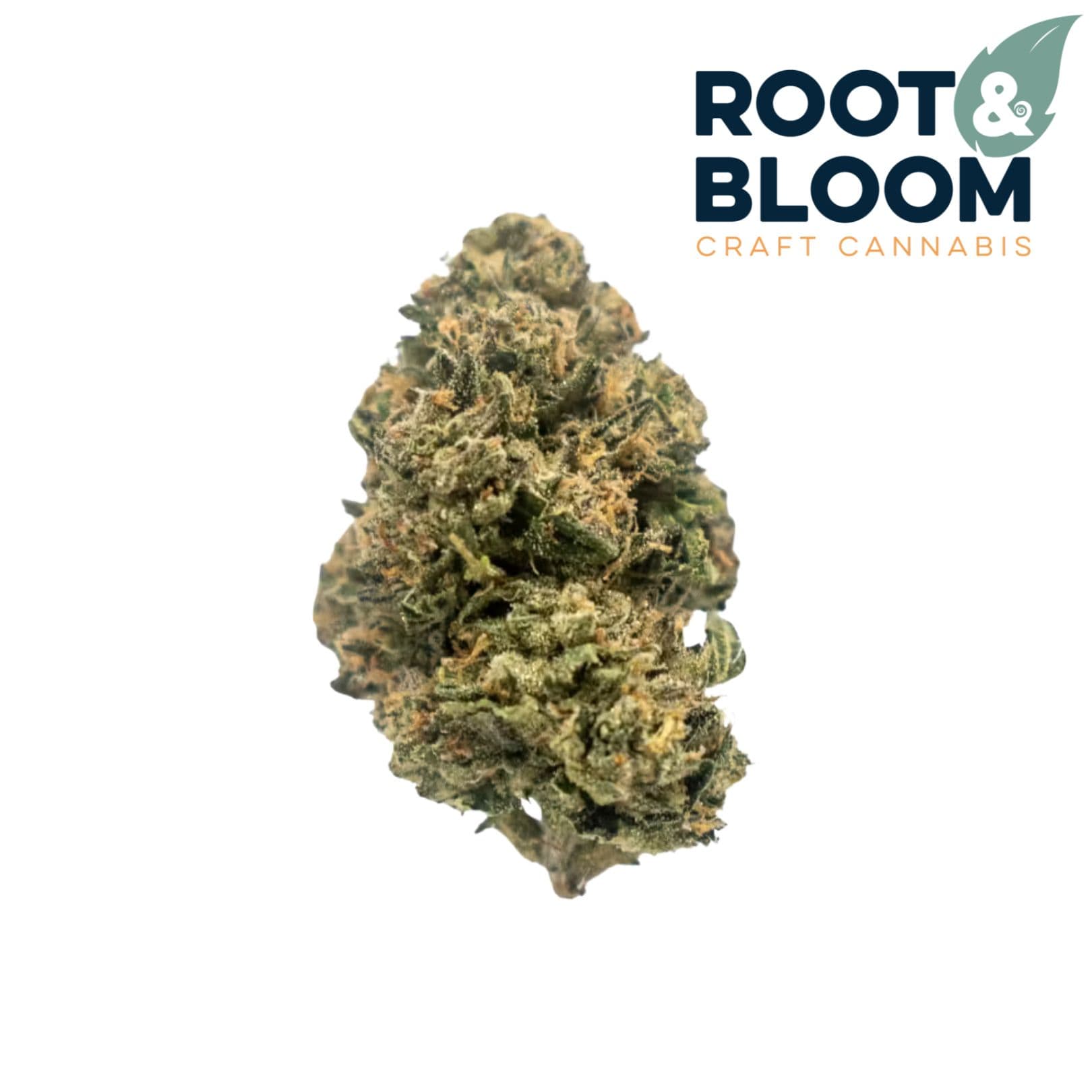 Root & Bloom