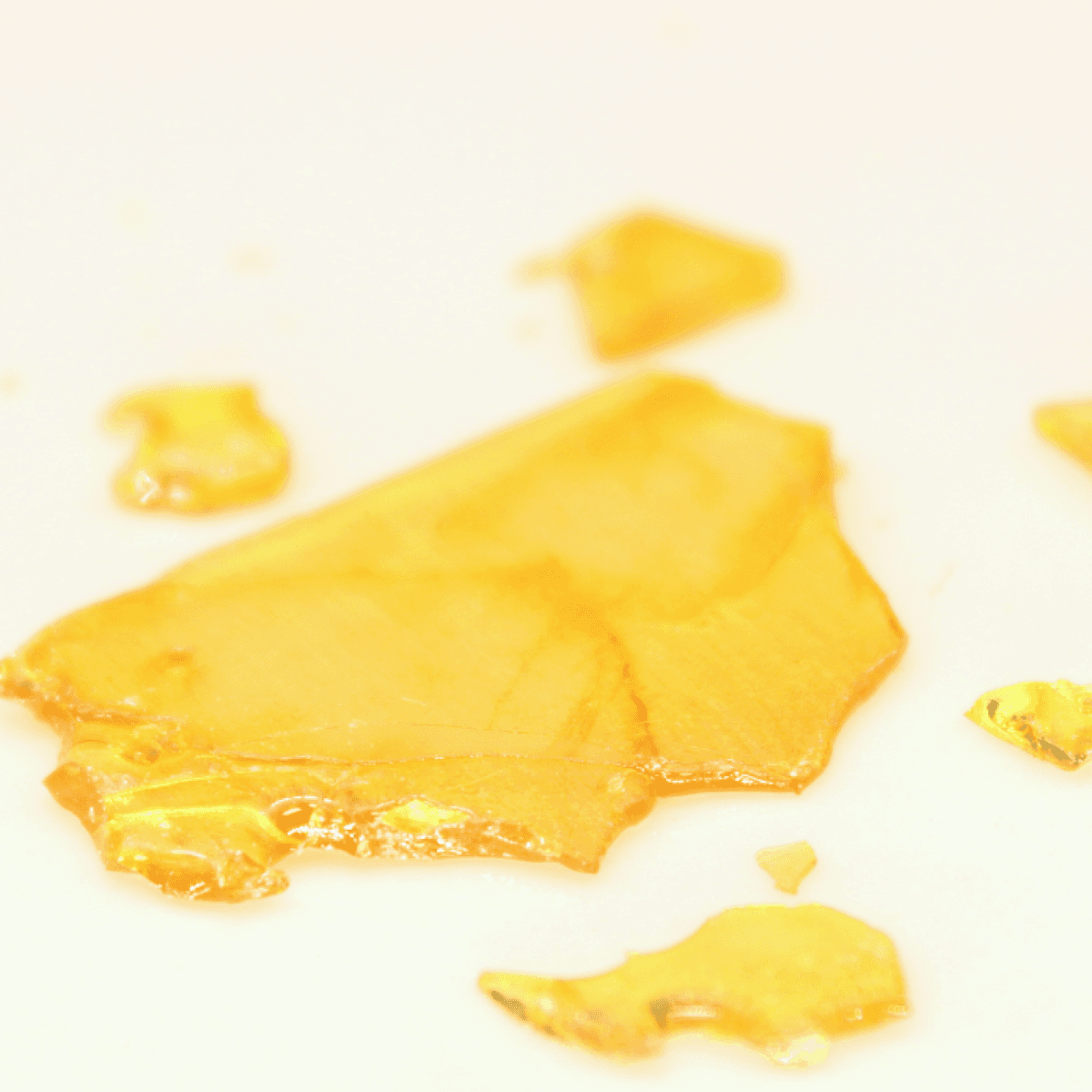 Firestorm Grape Solo Burger | Shatter | (1.0g)