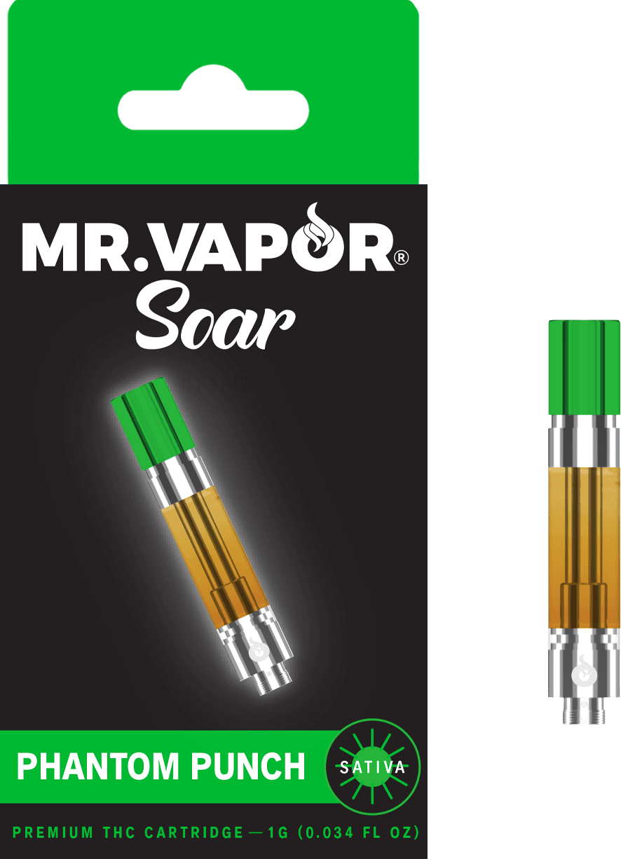 MR. VAPOR