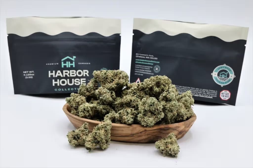 Harbor House Collective