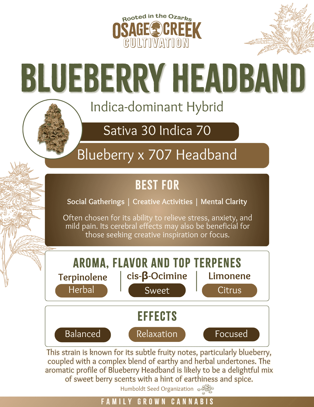 Osage Creek Blueberry Headband Flower
