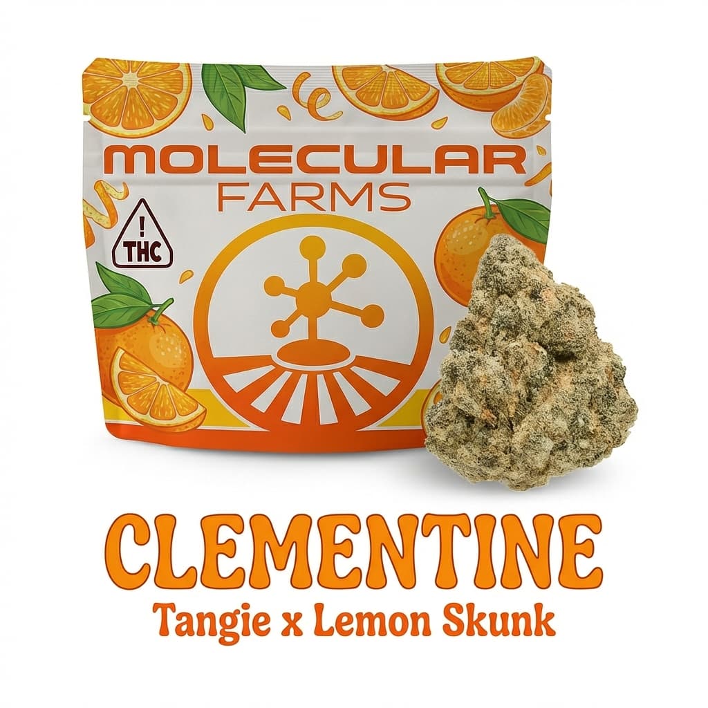 Molecular Farms