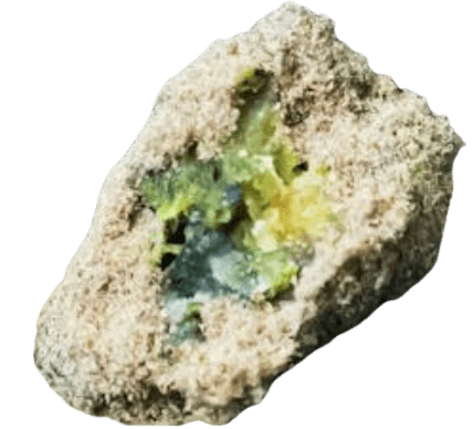 Guuzotix