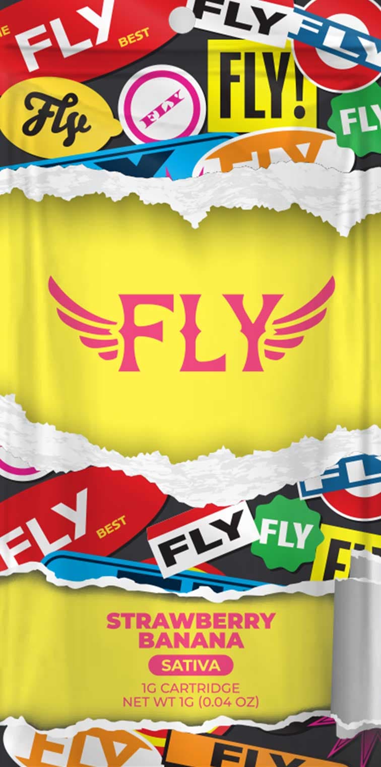 Fly