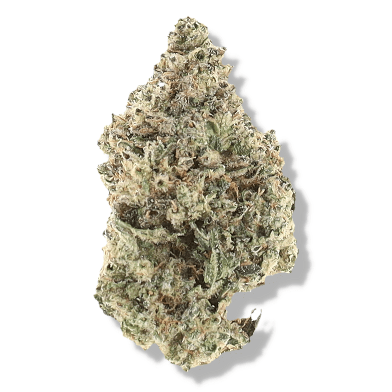BUDHUB