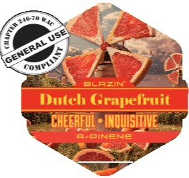 Trail Blazin' Dutch Grapefruit Capsules 10-pack (DOH)