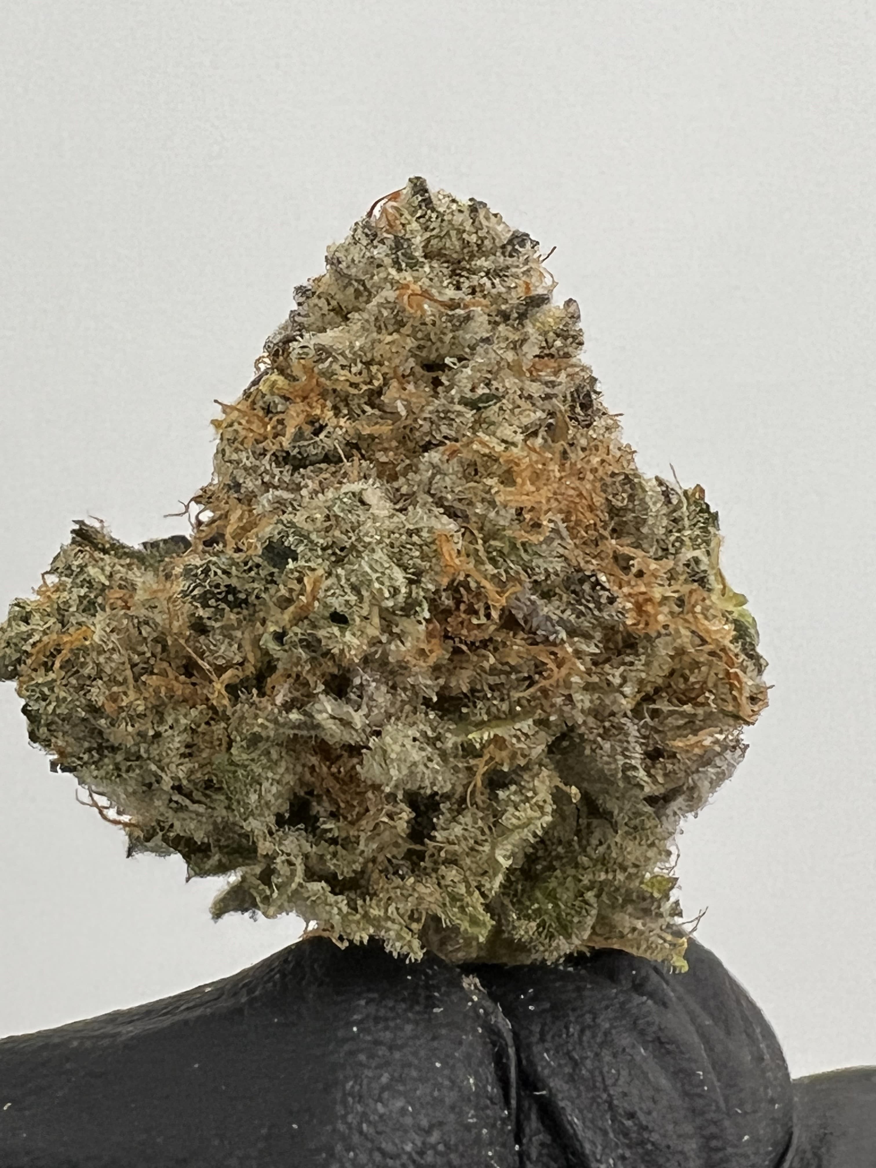 Bonsai Buds California Octane | 3.5g
