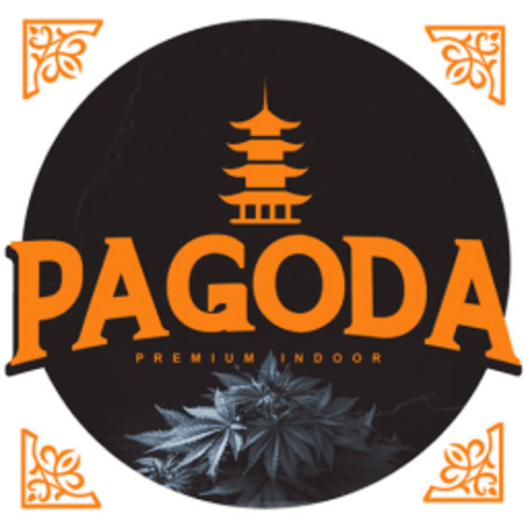 Pagoda Runtzilla Flower (PAGODA)