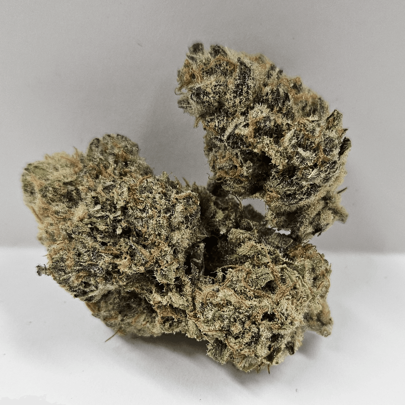 NW Soiltech