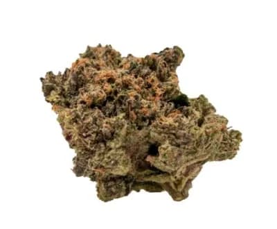 BAGGIES