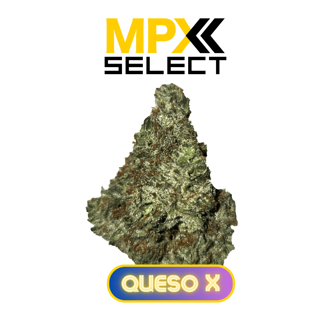 MPX Select Flower MPX Select Queso X Flower