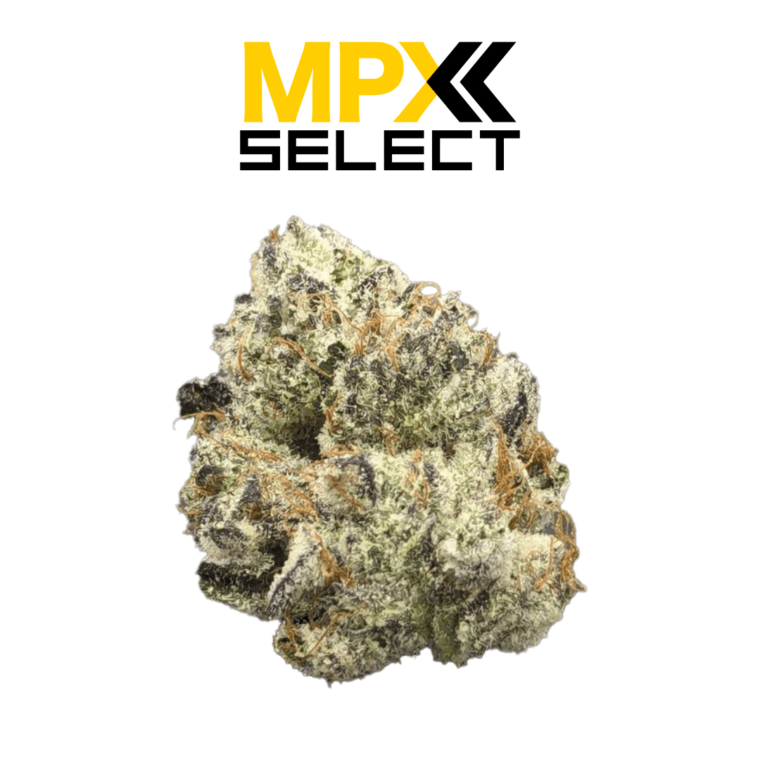 MPX Select Flower MPX Select Truffle Milk Flower