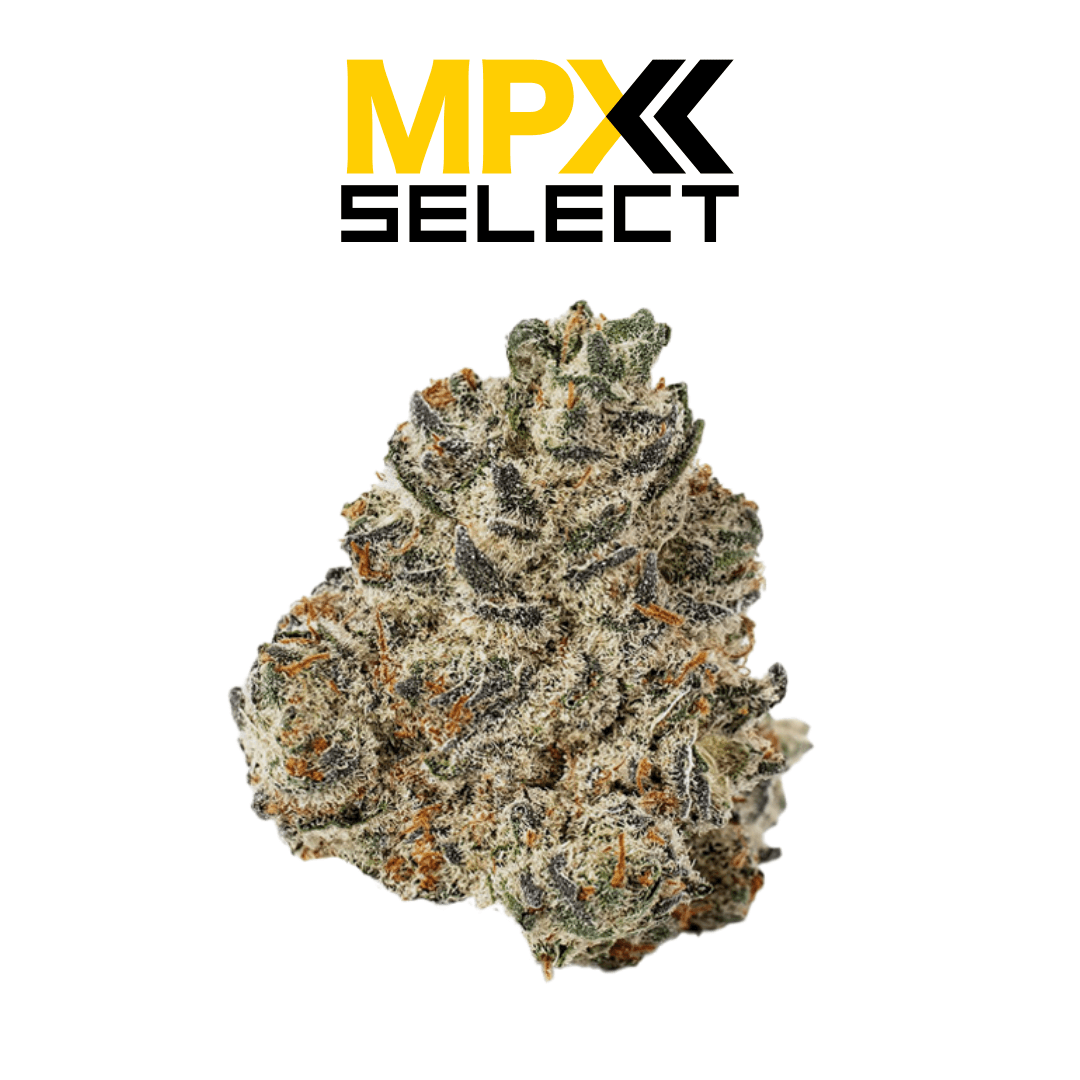MPX Select Flower MPX Select Oroz Flower
