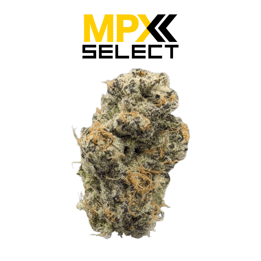MPX Select Flower MPX Select Grape Pie Flower