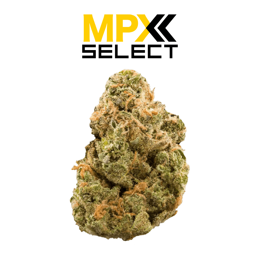 MPX Select Flower MPX Select Fruit Loopz Flower