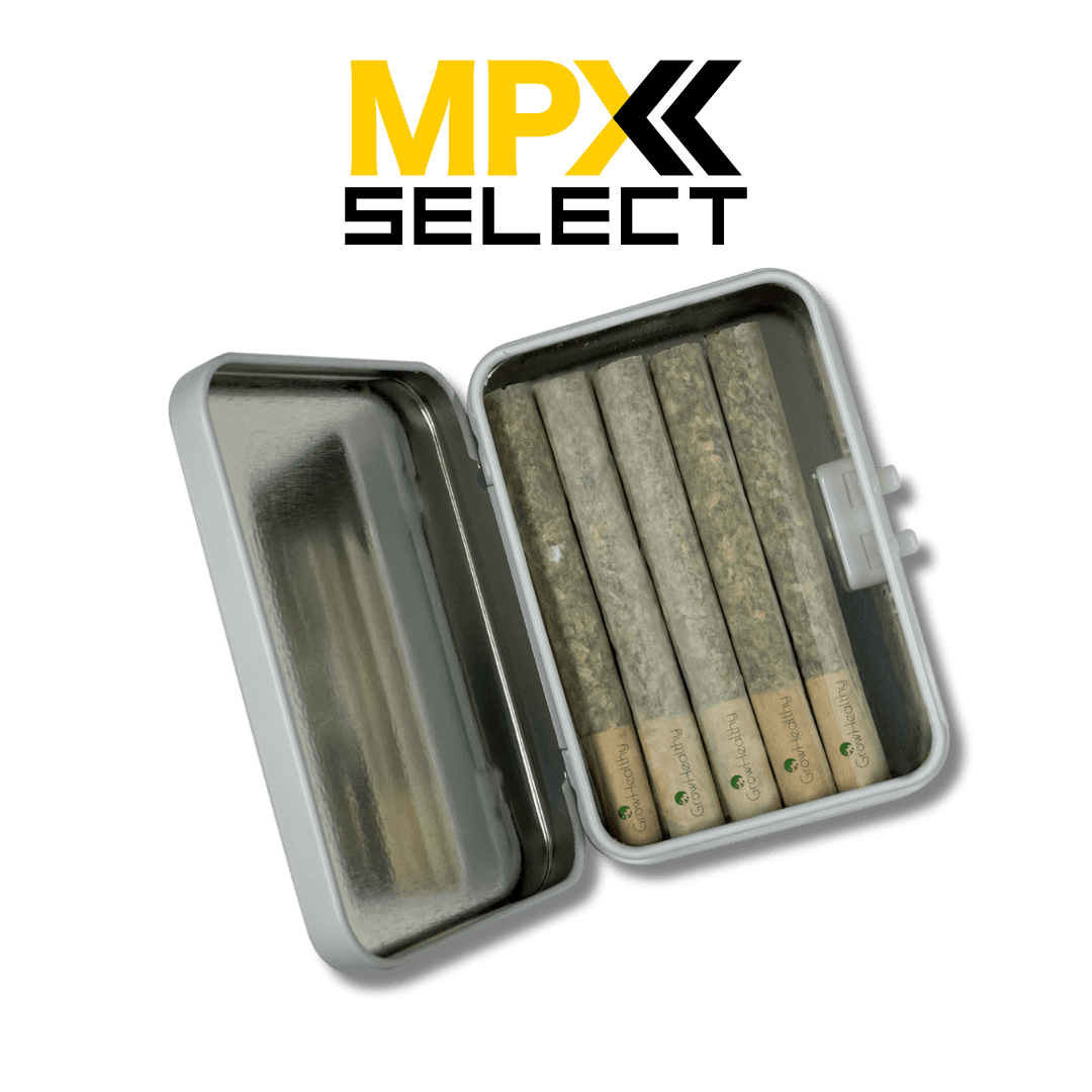 MPX Select Flower MPX Queso Perro Pre-Roll 5 Pack