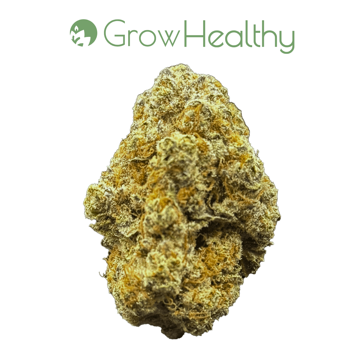 GrowHealthy Fantazma Flower