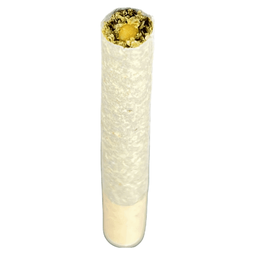 Ole Factory Canna