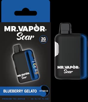 MR. VAPOR