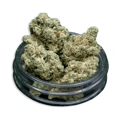 Cloverdale Gardens - Candy Apple Runtz