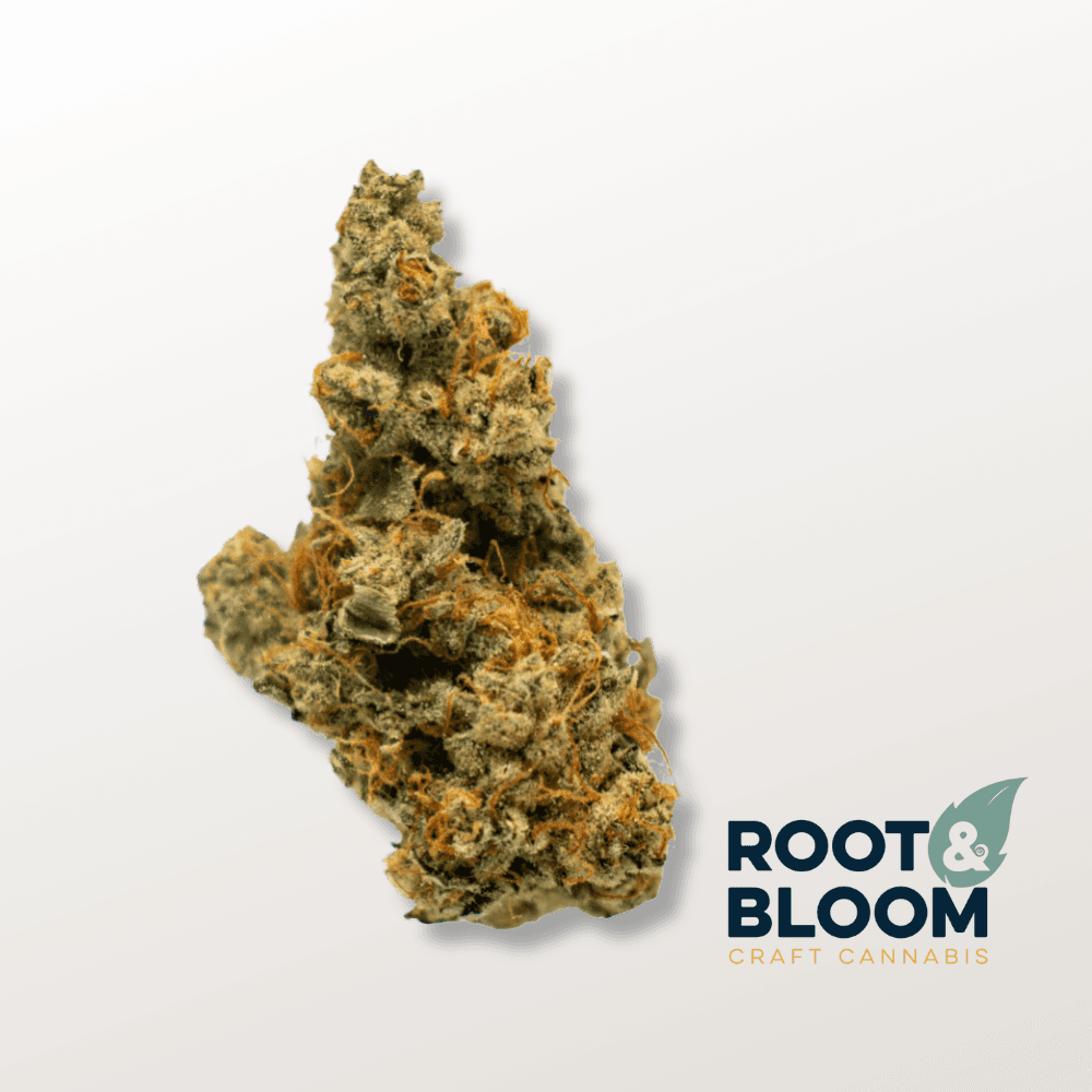 Root & Bloom