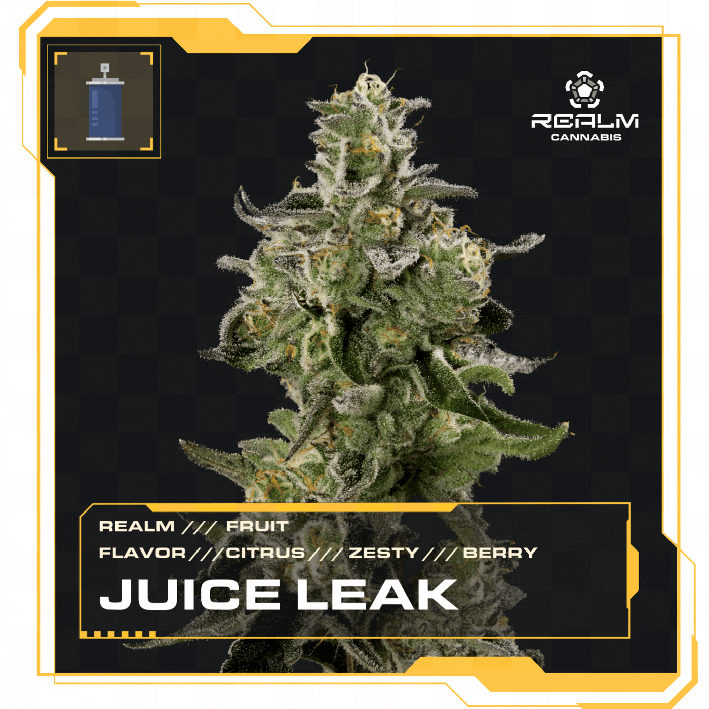 Realm Juice Leak | Fruit | Flower