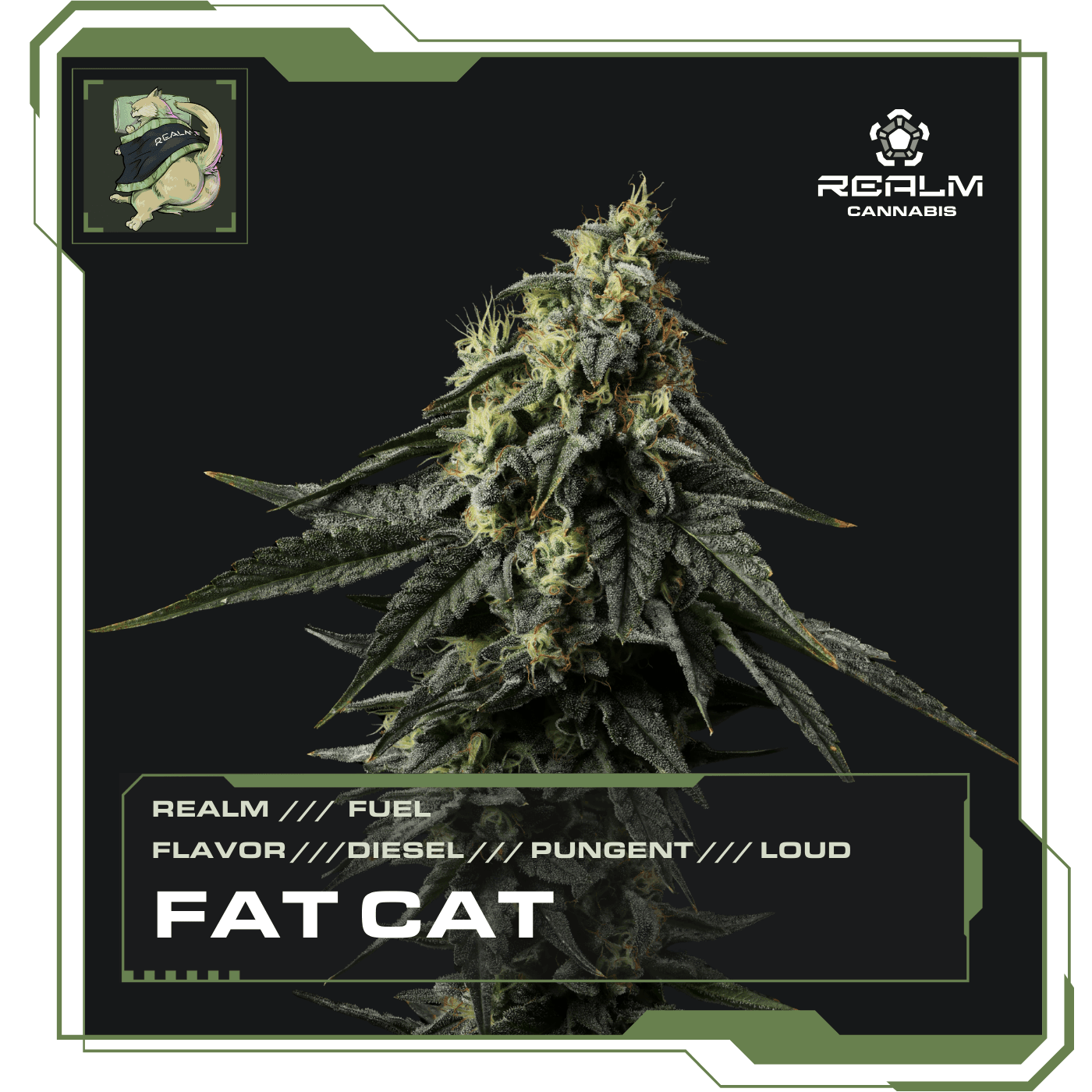 Realm Fat Cat | Fuel | Flower
