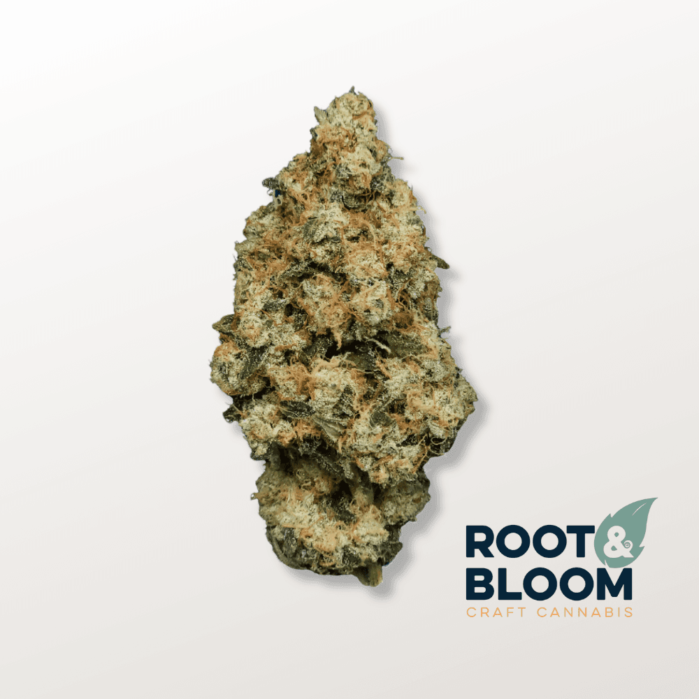 Root & Bloom