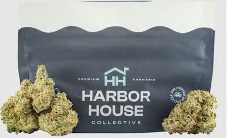 Harbor House Collective