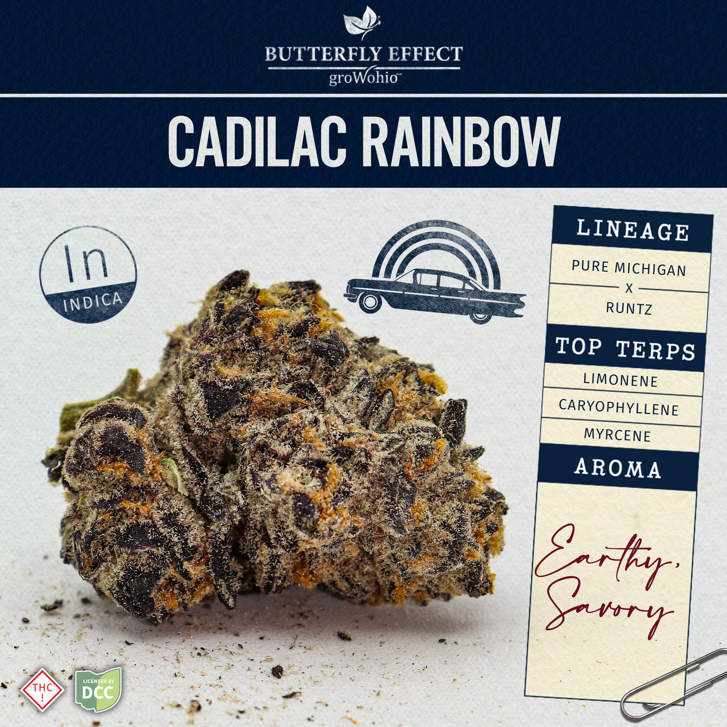 Butterfly Effect by Grow Ohio Butterfly Effect - CR - 2.83g