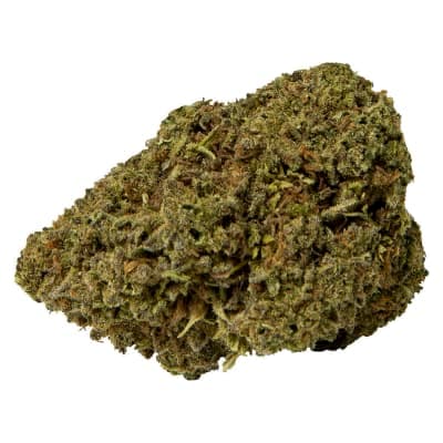 Abide Mango Sapphire Haze 3.5g Dried Flower
