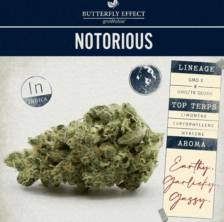 Butterfly Effect by Grow Ohio